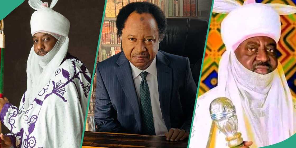 Shehu Sani proffers solution to royal tussle in Kano emirate Shehu Sani proffers solution to royal tussle in Kano emirate