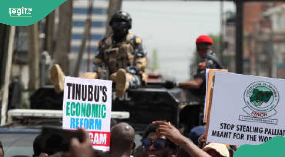 Zanga Zanga Zanga Zanga