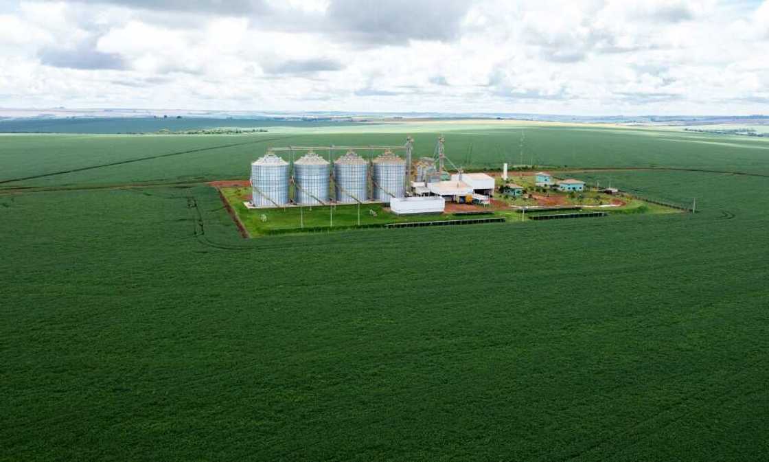 Aerial view of a soybean plantation in the municipality of Montividiu, Goias State, Brazil, taken on January 22, 2024