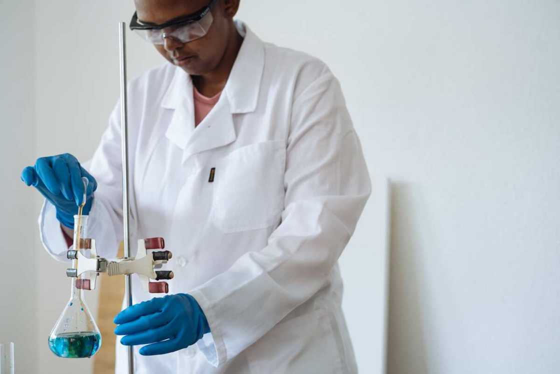 Nnamdi Azikiwe University courses Nnamdi Azikiwe University courses
