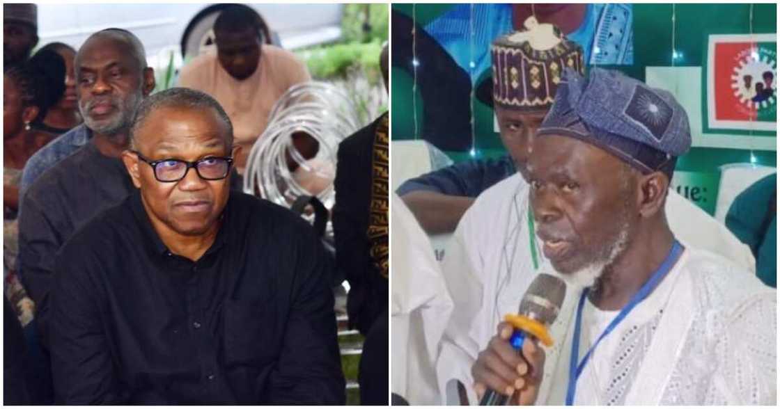 Peter Obi/Obi/Peter Obi news/Peter Obi news today Peter Obi/Obi/Peter Obi news/Peter Obi news today