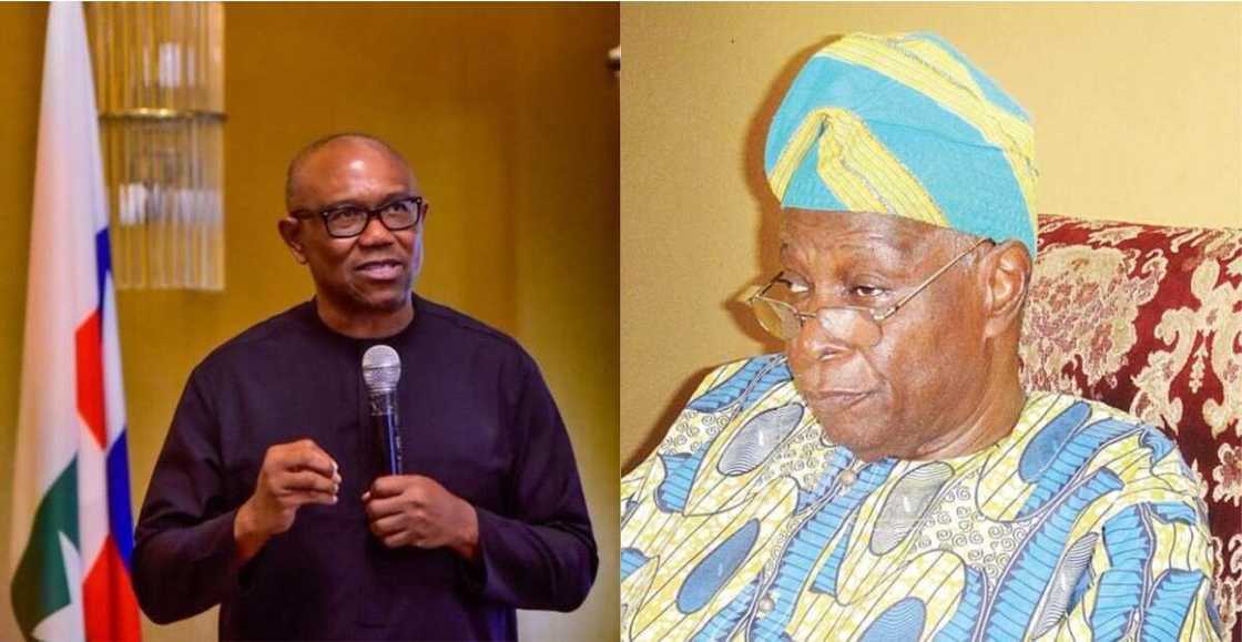 Souteast gets Falae's backing. Souteast gets Falae's backing.