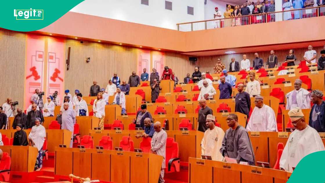 Rowdy session at Senate over election results transmission.