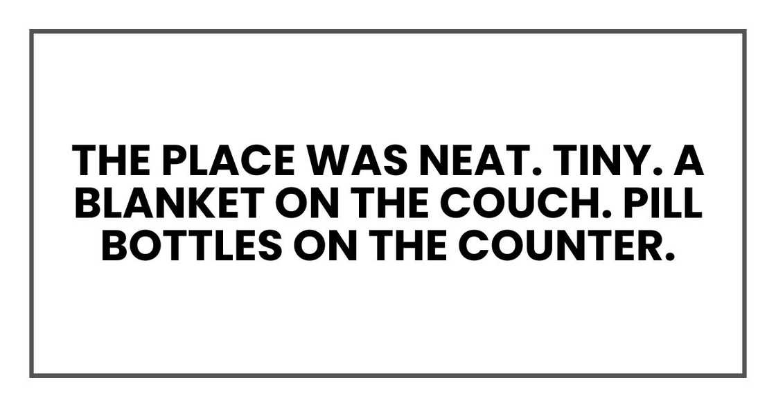The place was neat. Tiny. A blanket on the couch. Pill bottles on the counter. The place was neat. Tiny. A blanket on the couch. Pill bottles on the counter.