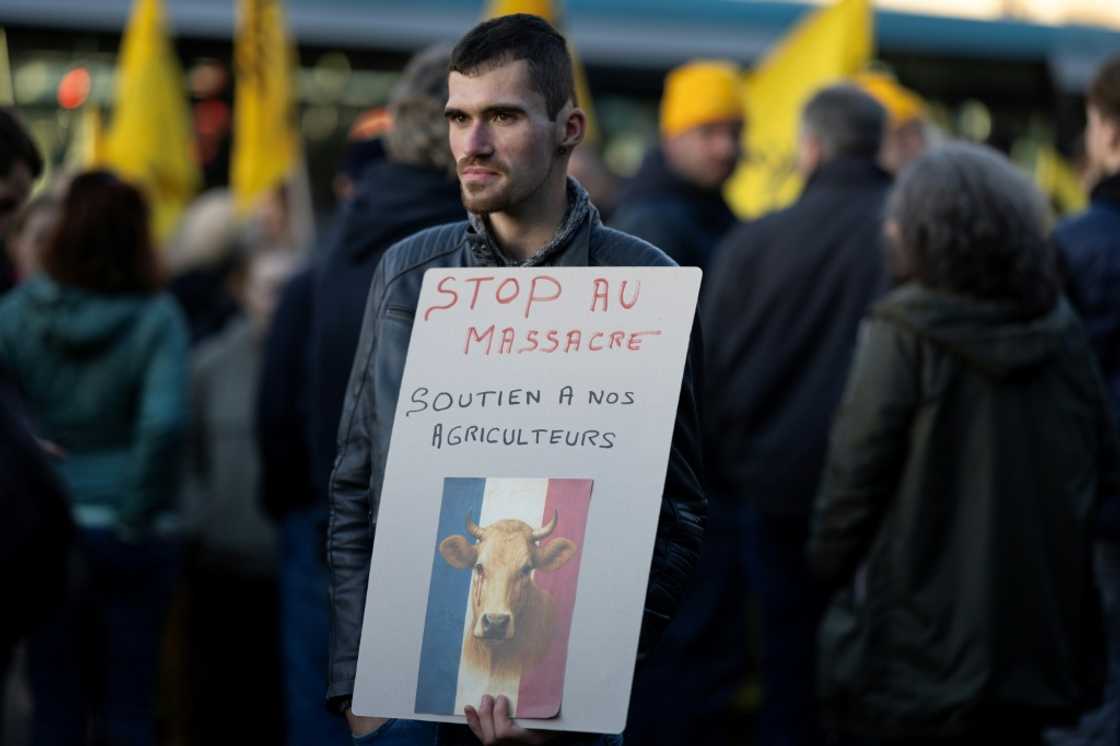 French farmers have been angry over what they see as the government's heavy-handed response to an outbreak of lumpy skin disease French farmers have been angry over what they see as the government's heavy-handed response to an outbreak of lumpy skin disease