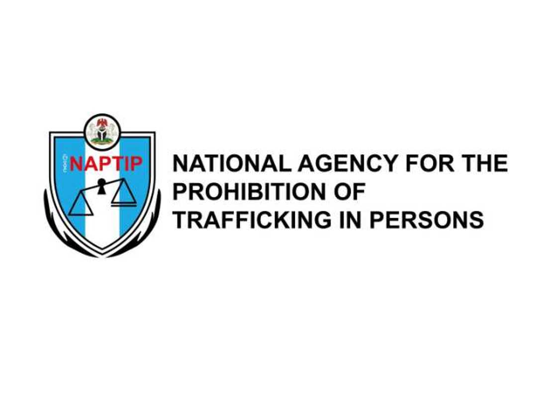 NAPTIP's logo NAPTIP's logo