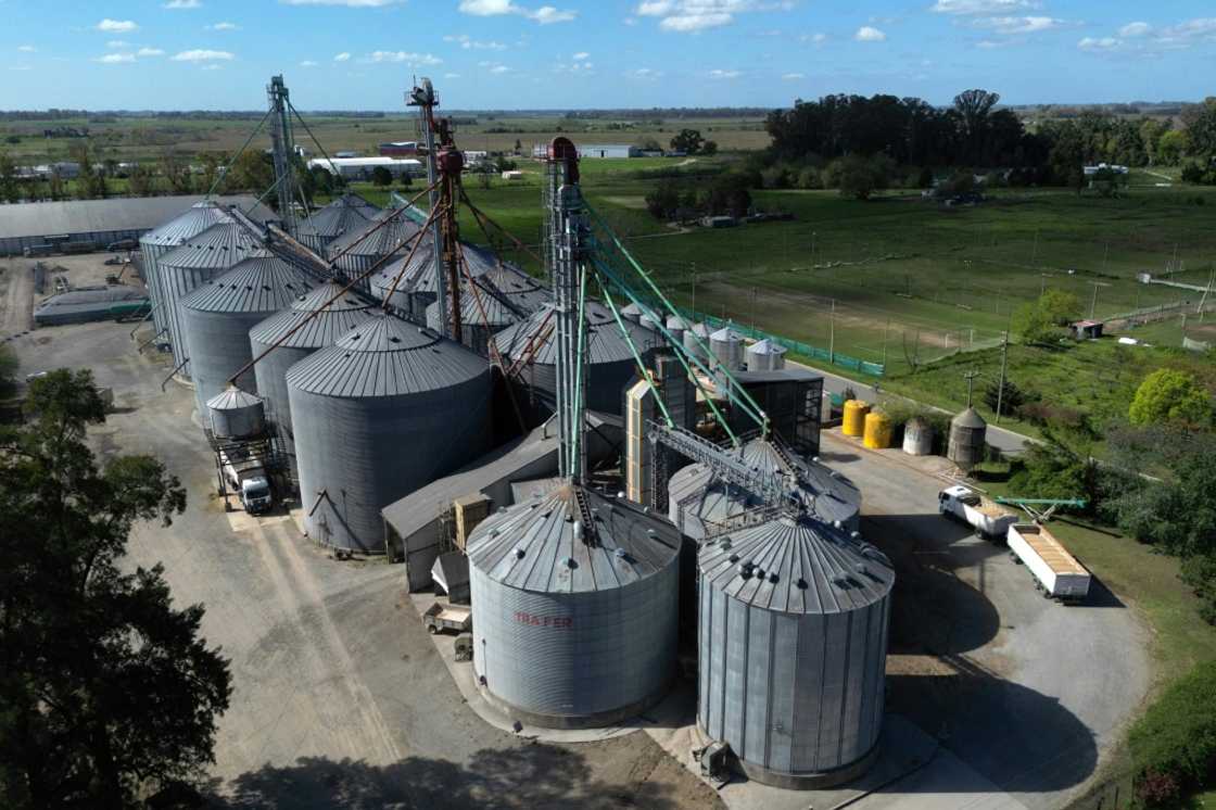 The farming town of San Andres de Giles in Buenos Aires province, voted for Javier Milei in 2023 but that enthusiasm has faded The farming town of San Andres de Giles in Buenos Aires province, voted for Javier Milei in 2023 but that enthusiasm has faded