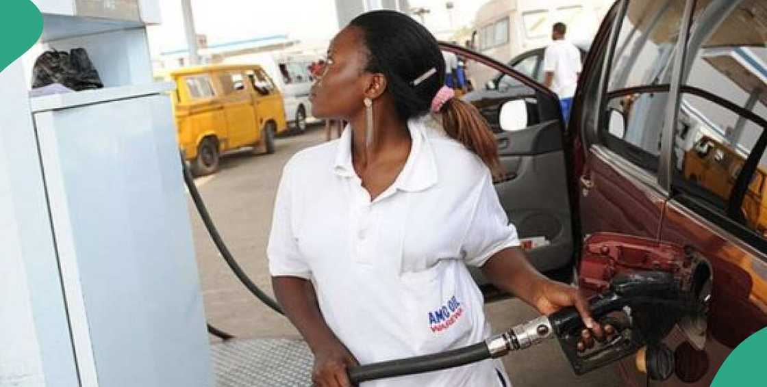 fuel price