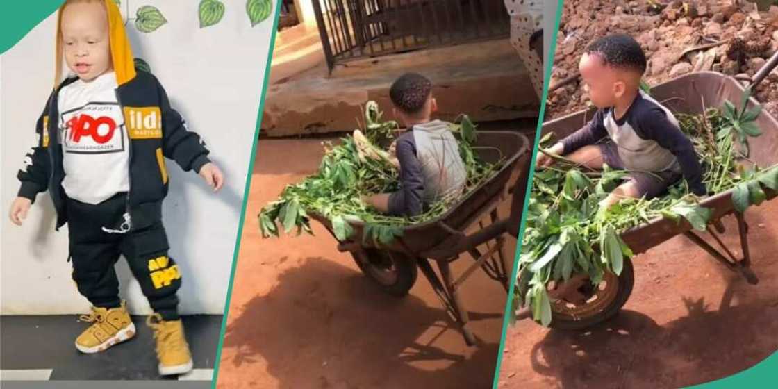 Transformation of little boy sent to village goes viral Transformation of little boy sent to village goes viral