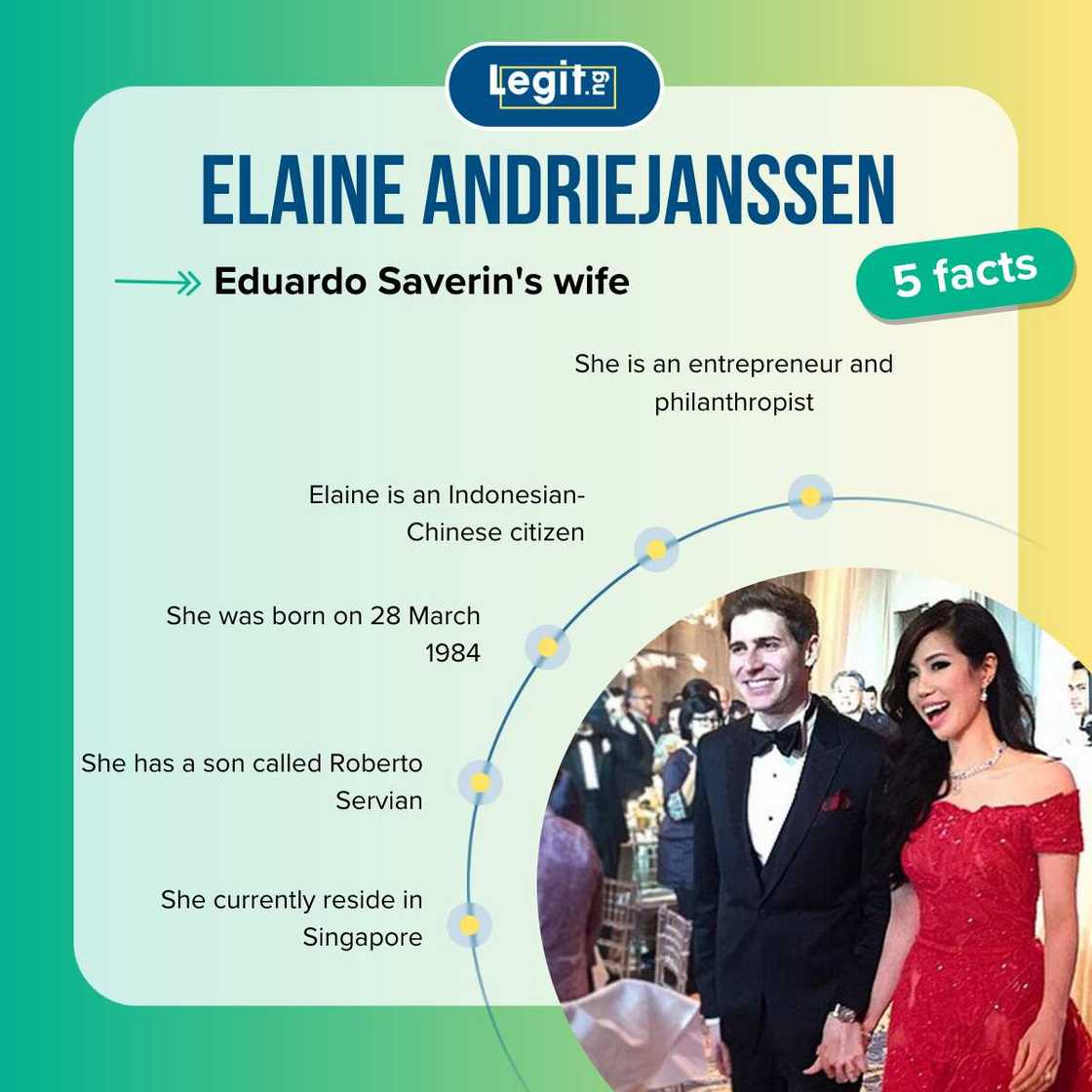 elaine andriejanssen's net worth elaine andriejanssen's net worth