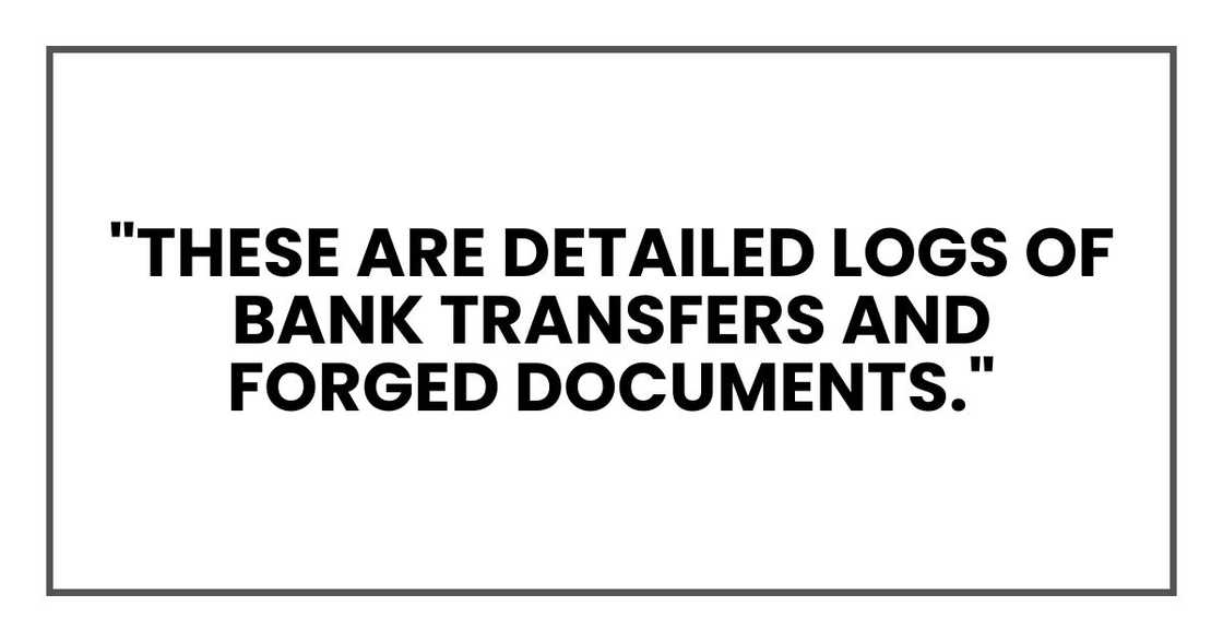 "These are detailed logs of bank transfers and forged documents," "These are detailed logs of bank transfers and forged documents,"