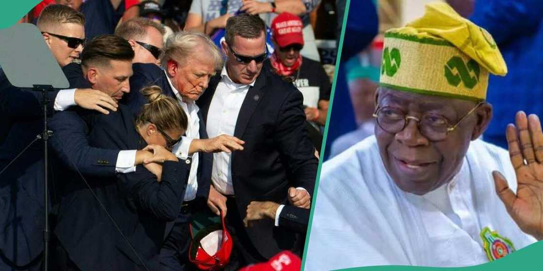 Donald Trump did not make any comment on President Bola Tinubu's academic records at Chicago State University. Donald Trump did not make any comment on President Bola Tinubu's academic records at Chicago State University.