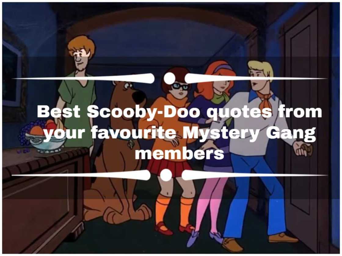 Best ScoobyDoo quotes from your favourite Mystery Gang members Legit.ng