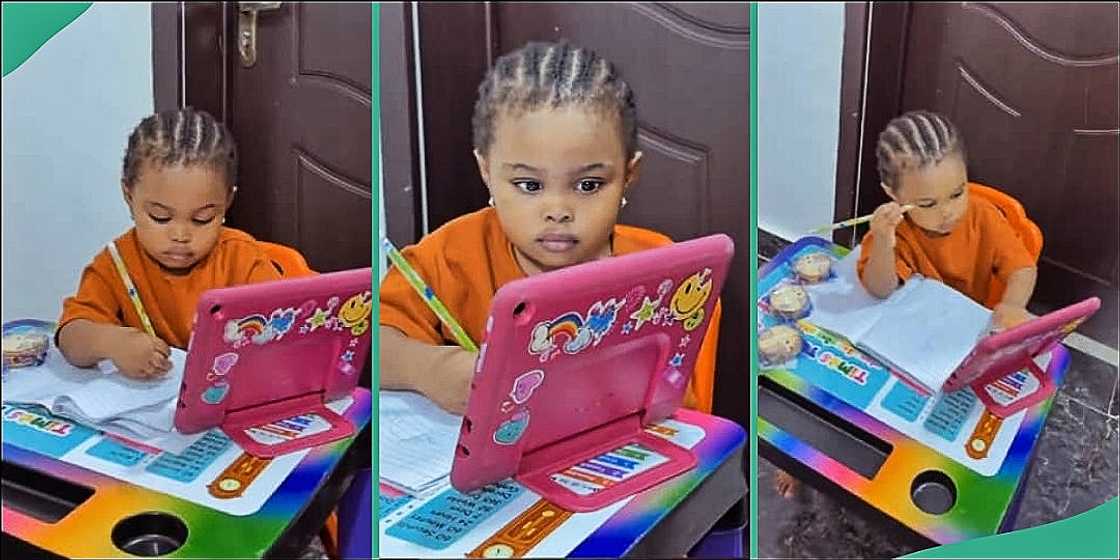 Little girl studies books in viral video