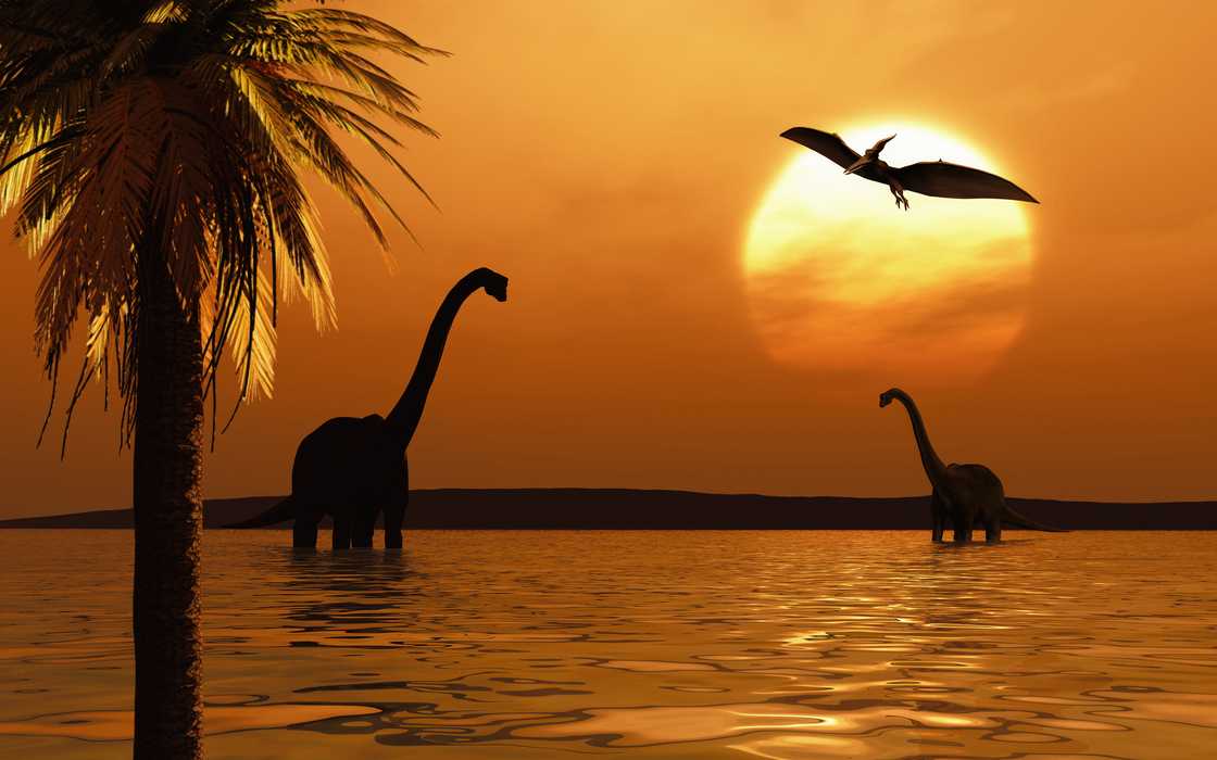 Two dinosaurs standing in the calm sea