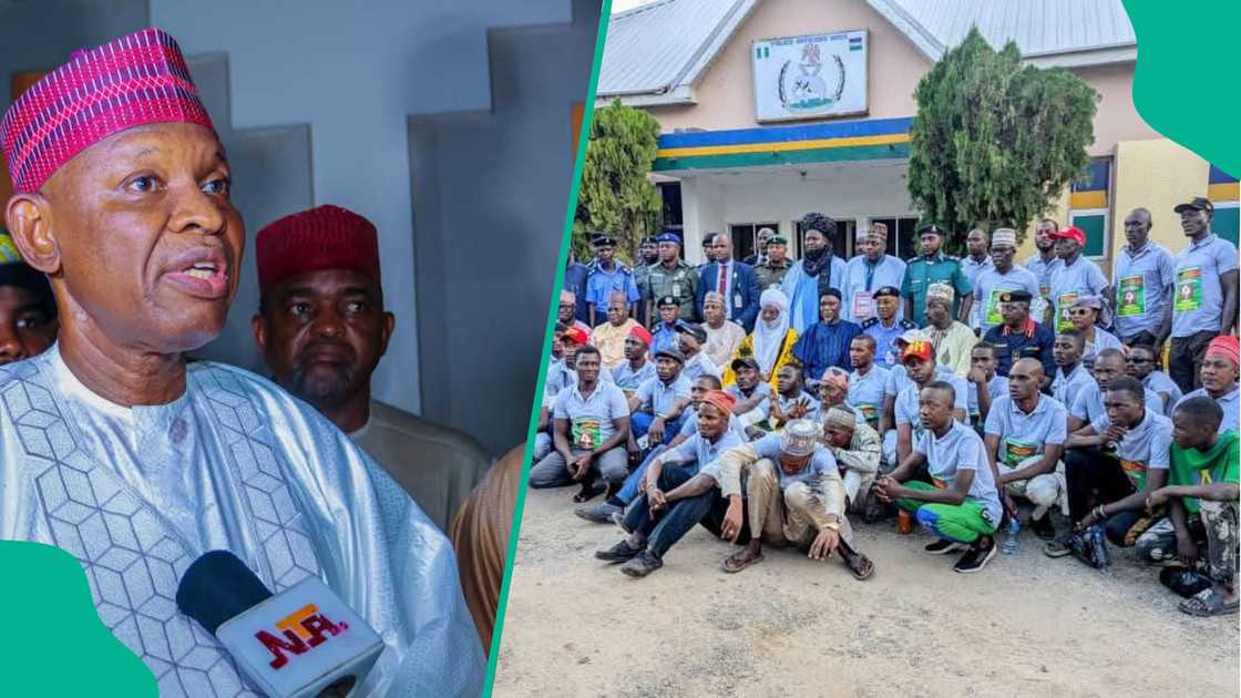 Gwamnatin Kano za ta yi wa 'yan daba afuwa