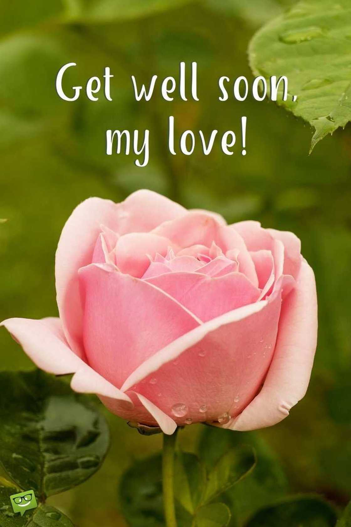 get well soon messages get well soon messages