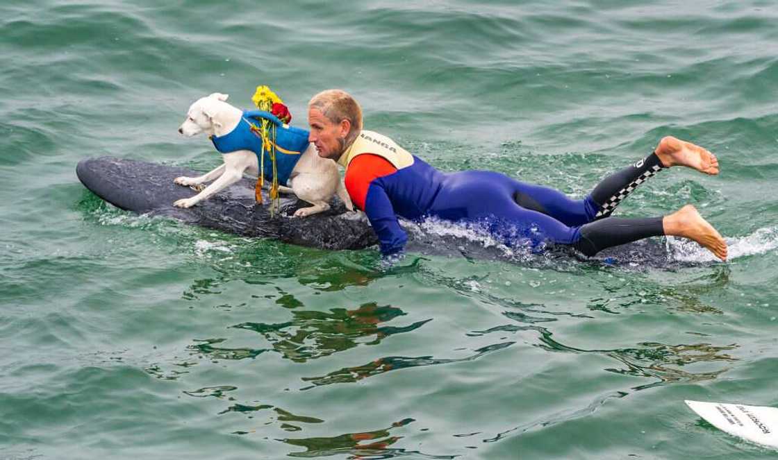 Craziest sports Craziest sports