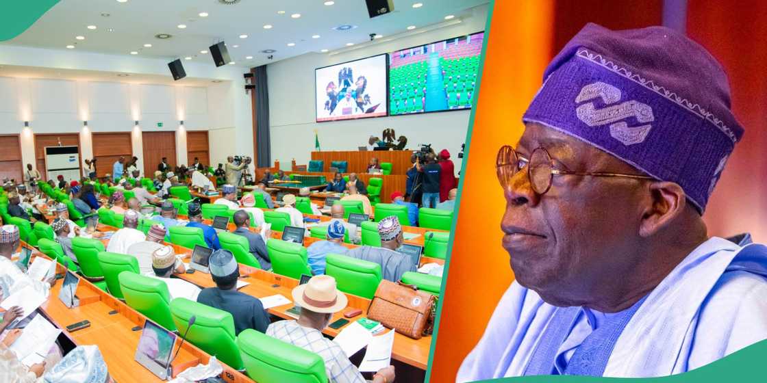 Reps questions Tinubu's CFR national award on Speaker Abbas