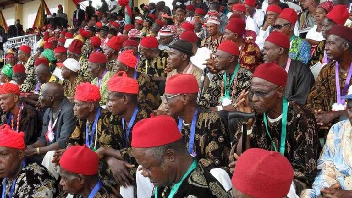 APC leader says only unity will produce Igbo president in 2023 APC leader says only unity will produce Igbo president in 2023