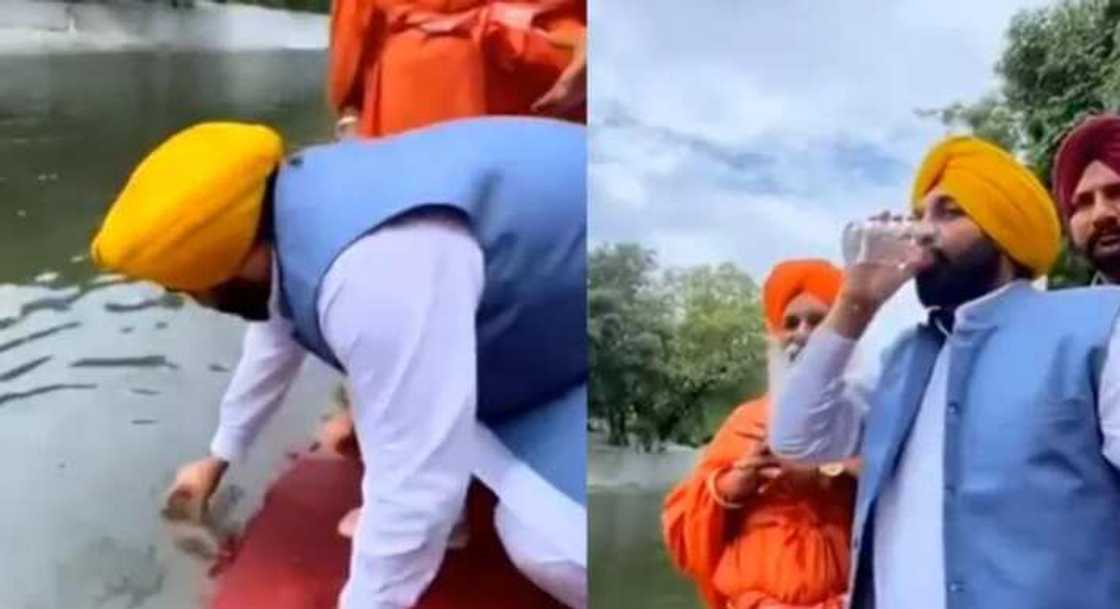 'Dan siyasa 'Dan siyasa