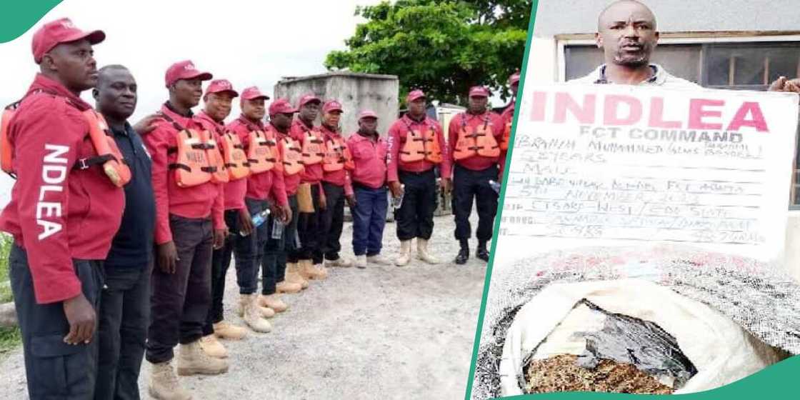 Ibrahim Momoh, NDLEA Ibrahim Momoh, NDLEA