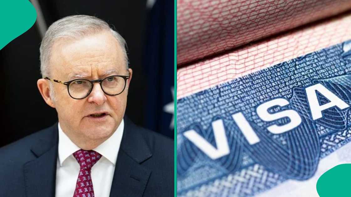 Australia names 59 discontinued visas no longer open to new applicants