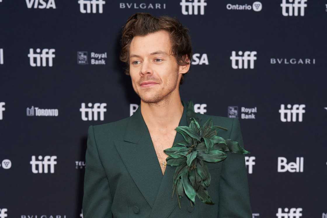 Harry Styles pose at the Toronto International Film Festival Harry Styles pose at the Toronto International Film Festival