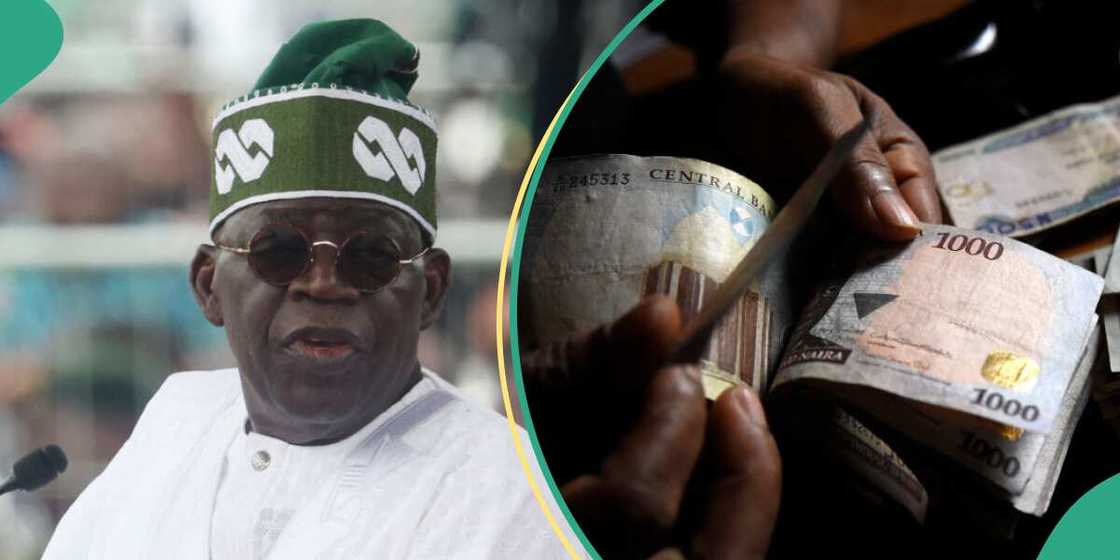 Naira, Tribunal, Tinubu