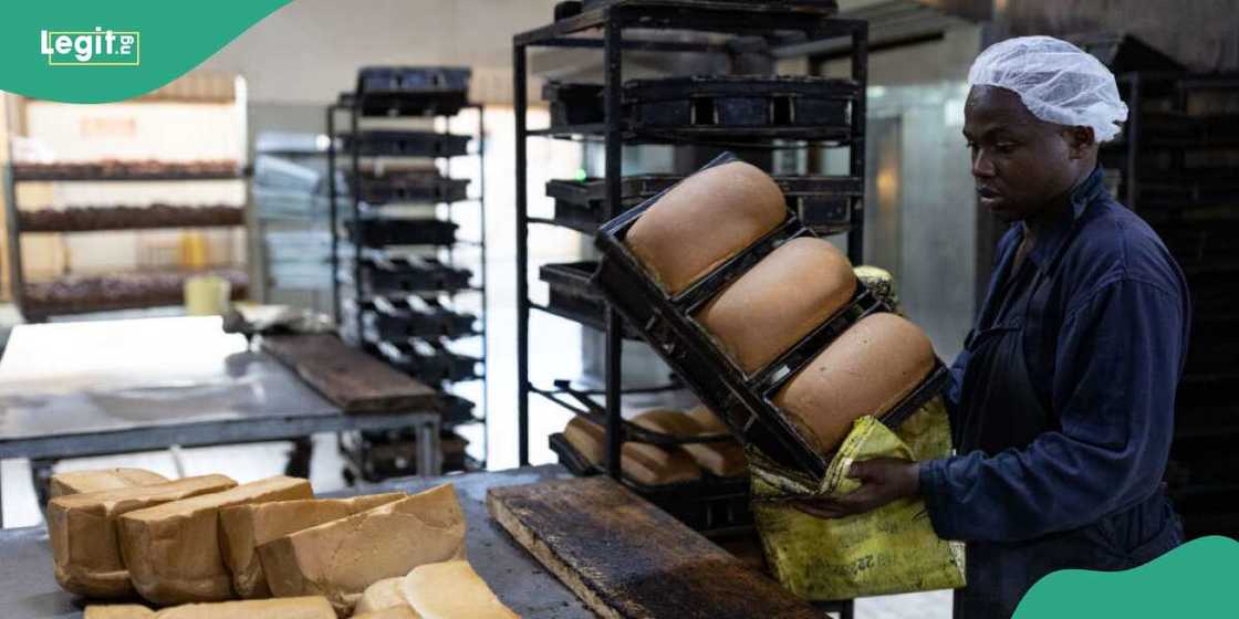 Bread bakers in Nigeria Bread bakers in Nigeria