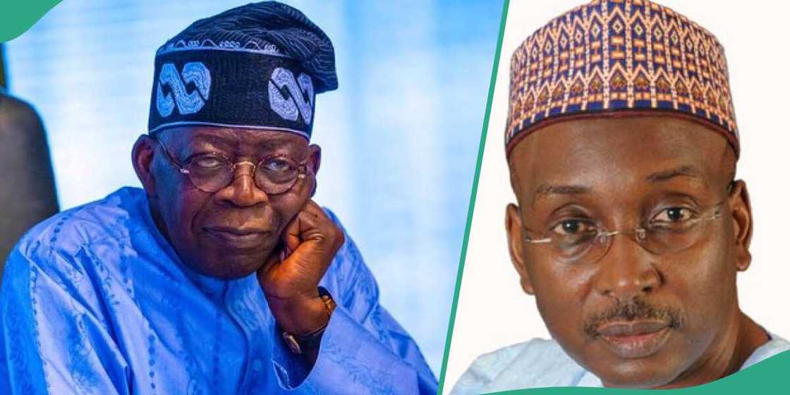 Salihu Lukman, Tinubu Salihu Lukman, Tinubu