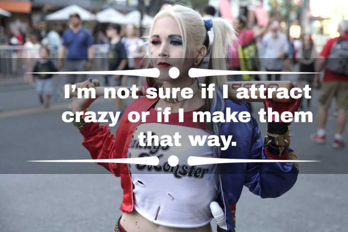 Harley Quinn's phrases