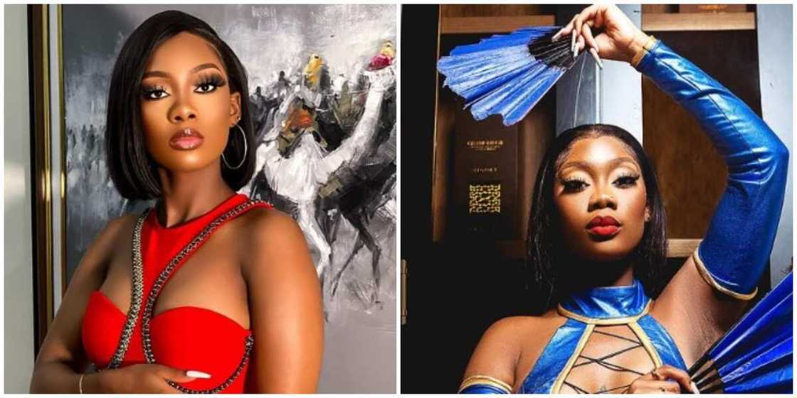 Blue Aiva/BBTitans Blue Aiva/BBTitans