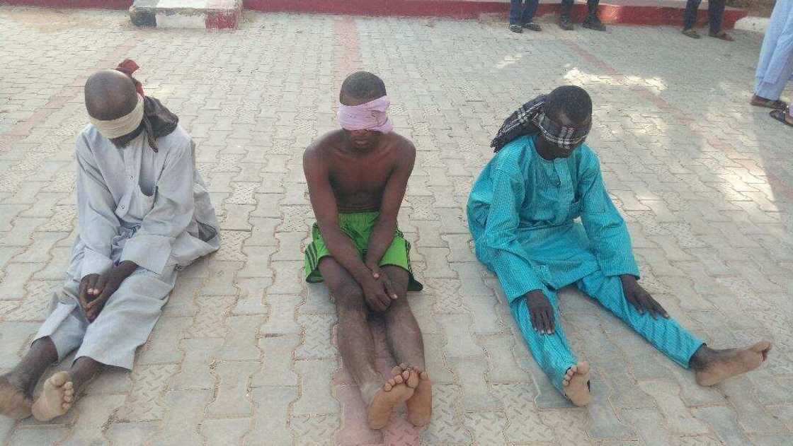 Zamfara: Hayar bindiga muke yi domin sheke mutane da satar shanu, 'Yan bindiga 3 Zamfara: Hayar bindiga muke yi domin sheke mutane da satar shanu, 'Yan bindiga 3