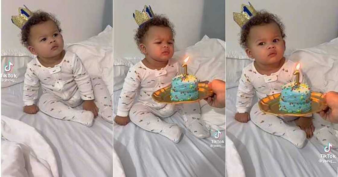 Little boy seems unimpressed, birthday cake, one-year-old Little boy seems unimpressed, birthday cake, one-year-old