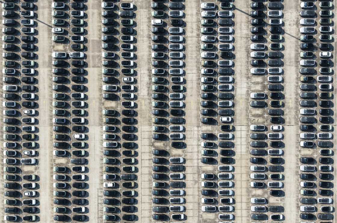 BYD, Geely, Dongfeng and others took 65 percent of the local market in 2024, up 22.2 percent year-on-year, data from MarkLines shows BYD, Geely, Dongfeng and others took 65 percent of the local market in 2024, up 22.2 percent year-on-year, data from MarkLines shows