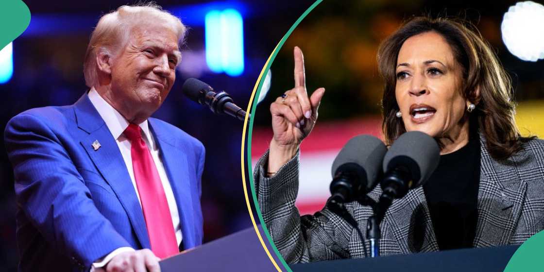 Eligibility of Nigerians in the U.S to vote in the 2024 presidential election Eligibility of Nigerians in the U.S to vote in the 2024 presidential election
