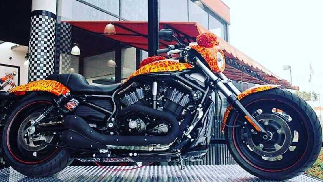 Harley Davidson Cosmic Starship Harley Davidson Cosmic Starship