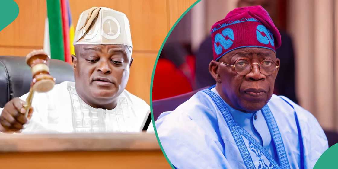 Reason emerges as Lagos lawmakers ignore embattled ex-speaker Mudashiru Obasa while pledging loyalty to President Bola Tinubu during plenary. Reason emerges as Lagos lawmakers ignore embattled ex-speaker Mudashiru Obasa while pledging loyalty to President Bola Tinubu during plenary.