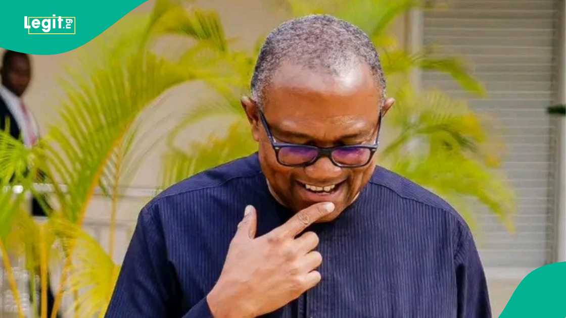 Obi knocks Nigeria's democratic system Obi knocks Nigeria's democratic system