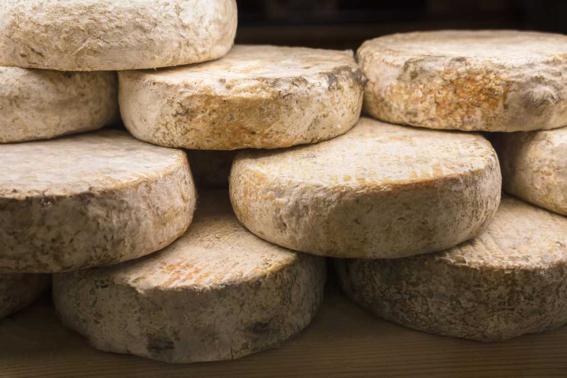 Beaufort cheese with raw cow's milk. Beaufort cheese with raw cow's milk.