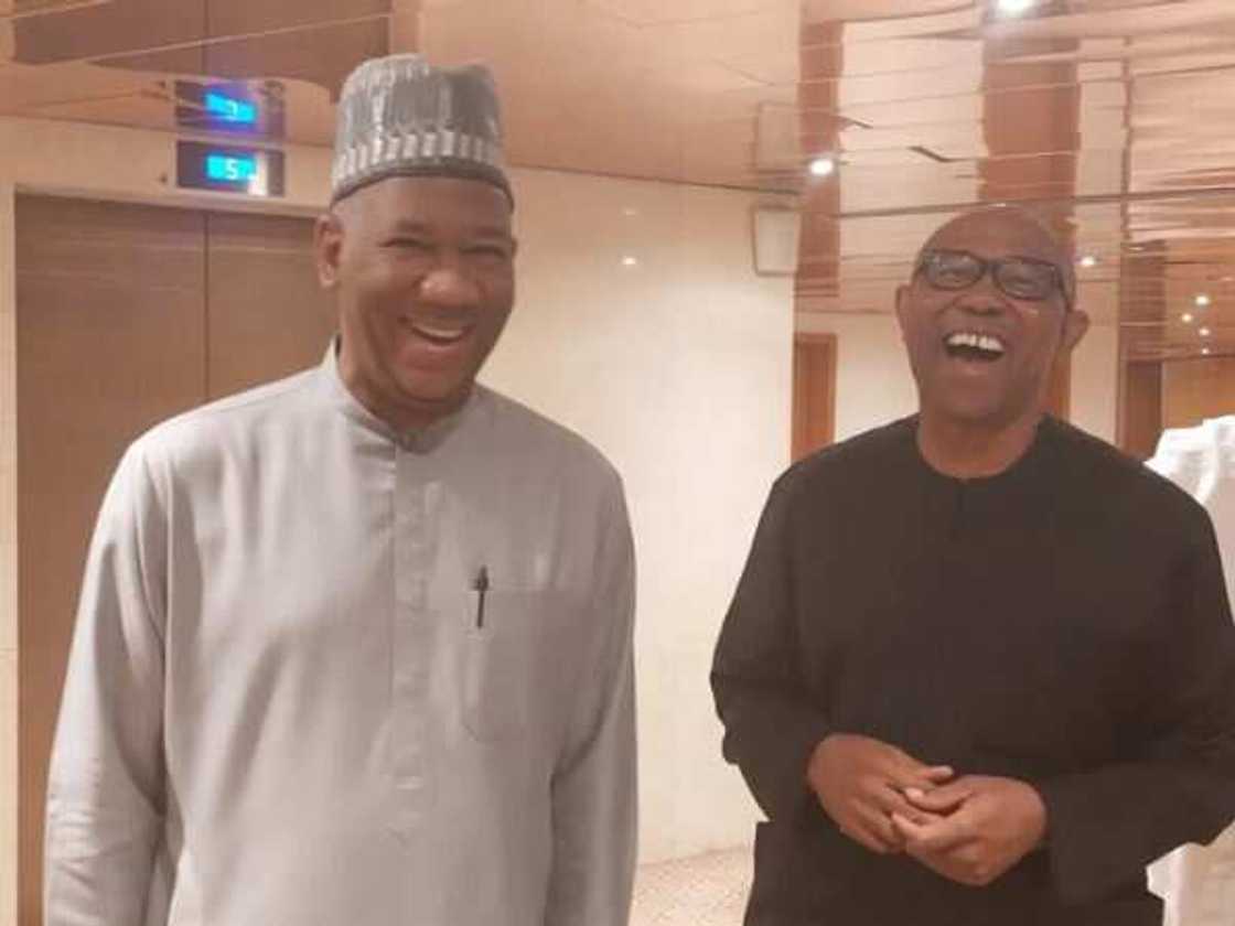 Peter Obi, Yusuf Baba Ahmed-Datti, 2023 presidential election, Labour Party, Igbo group Peter Obi, Yusuf Baba Ahmed-Datti, 2023 presidential election, Labour Party, Igbo group