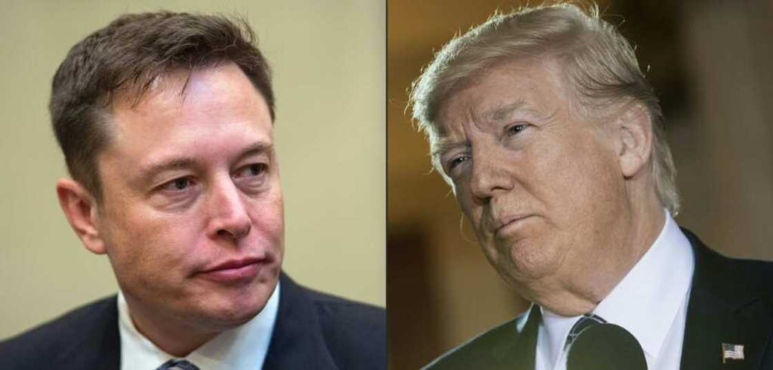 Elon Musk (L) says he will not directly back Donald Trump (R) or Joe Biden, but his X feed makes clear that his support lies with the Republican Elon Musk (L) says he will not directly back Donald Trump (R) or Joe Biden, but his X feed makes clear that his support lies with the Republican