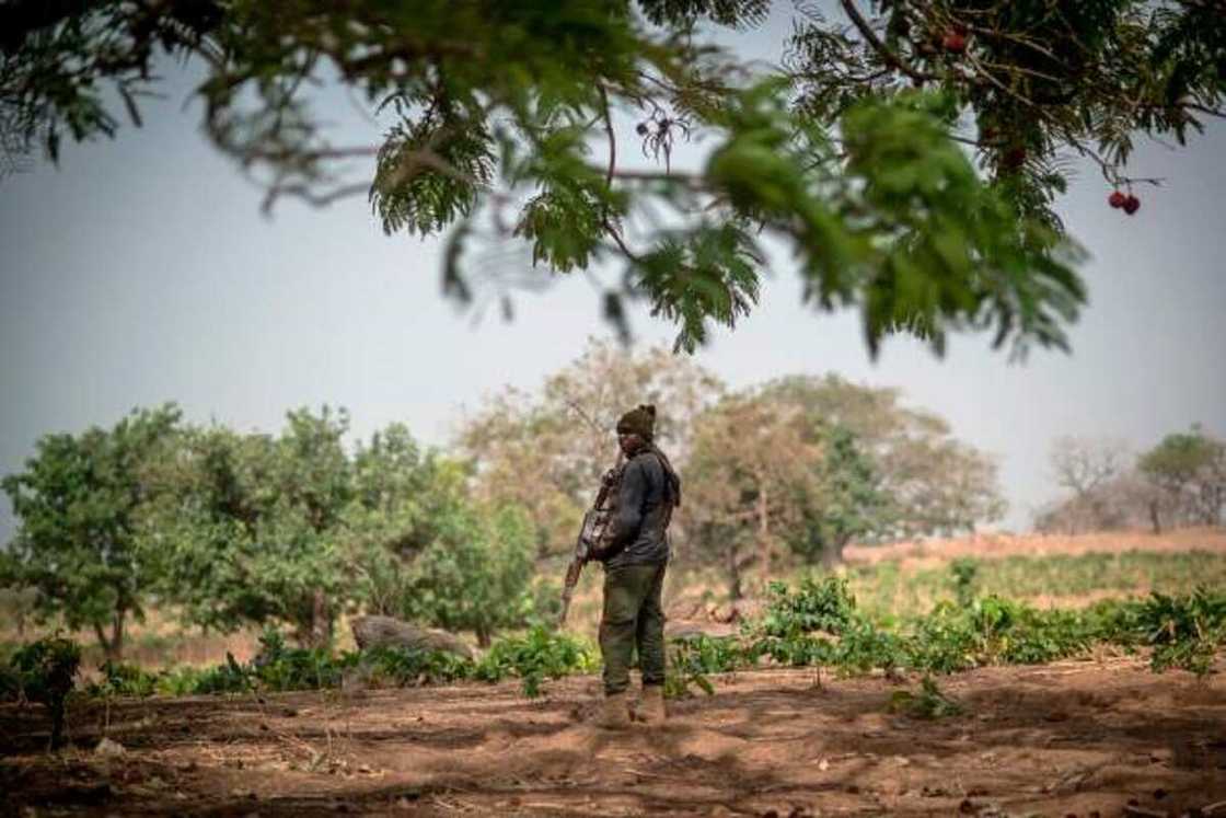 'Dan Sanda 'Dan Sanda