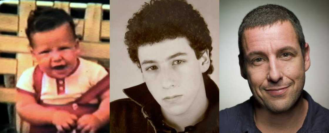 Adam Sandler net worth, age, height, wife and kids Adam Sandler net worth, age, height, wife and kids