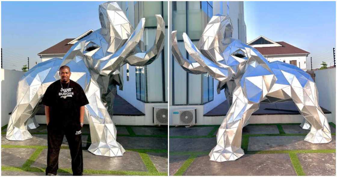 Don Jazzy buys shiny giant elephant for Christmas. Don Jazzy buys shiny giant elephant for Christmas.