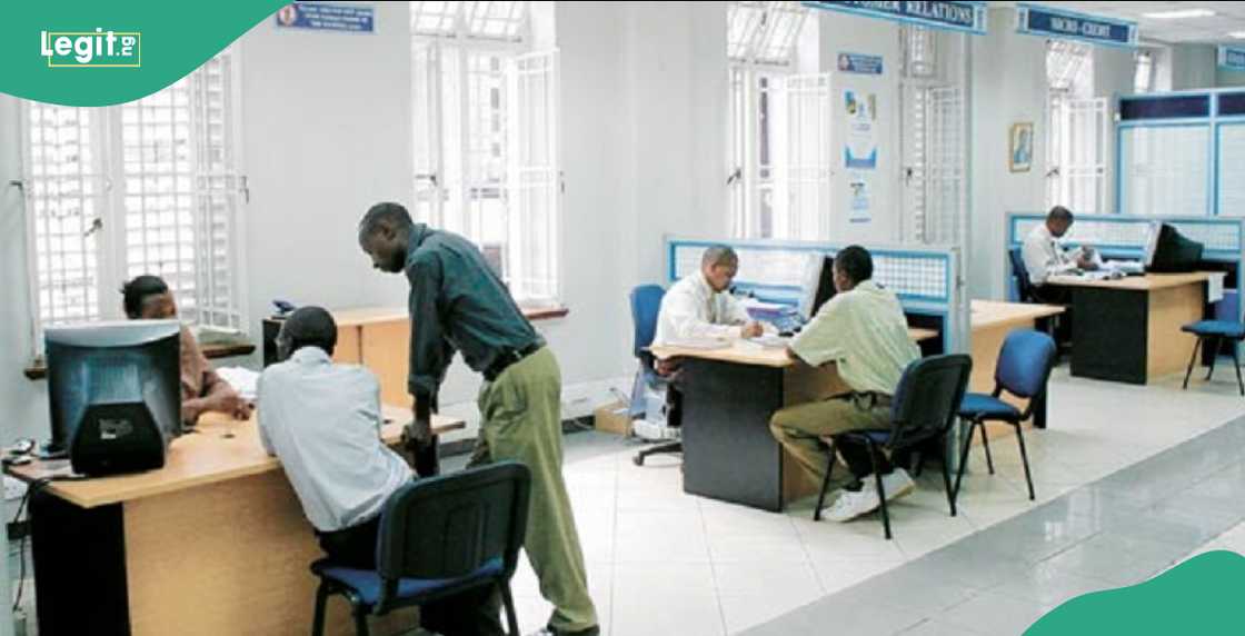 Experts Explain What to Expect Over New CBN Directive Experts Explain What to Expect Over New CBN Directive