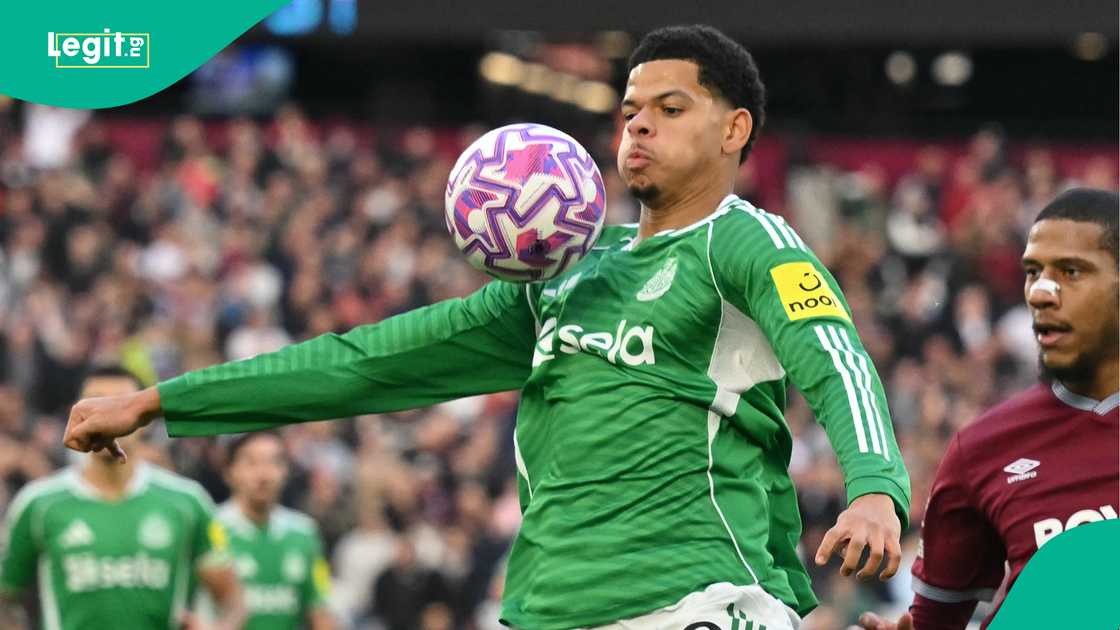 Super Eagles, William Osula, Newcastle, England, Premier League, Denmark