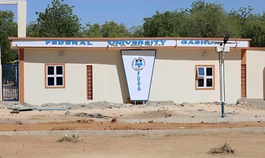 A view of Federal University Gashua block