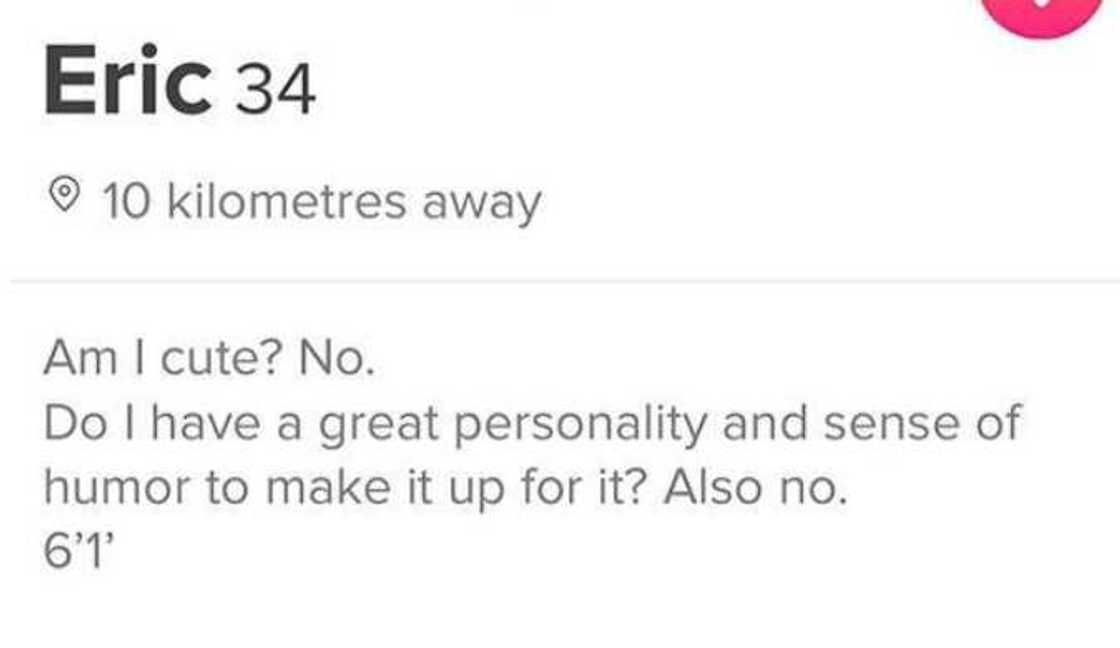 funny tinder profiles